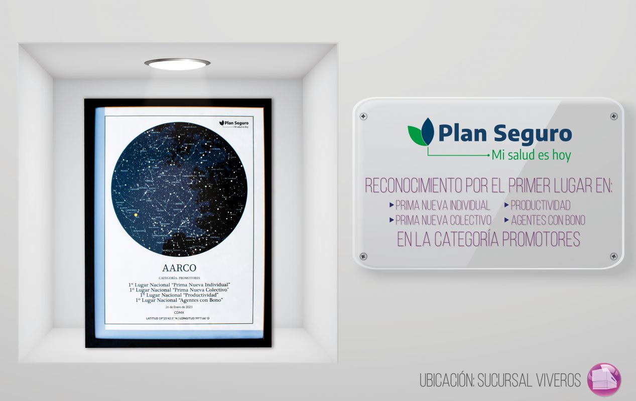 Cuadro-Plan-seguro-01-1267x800-compressed