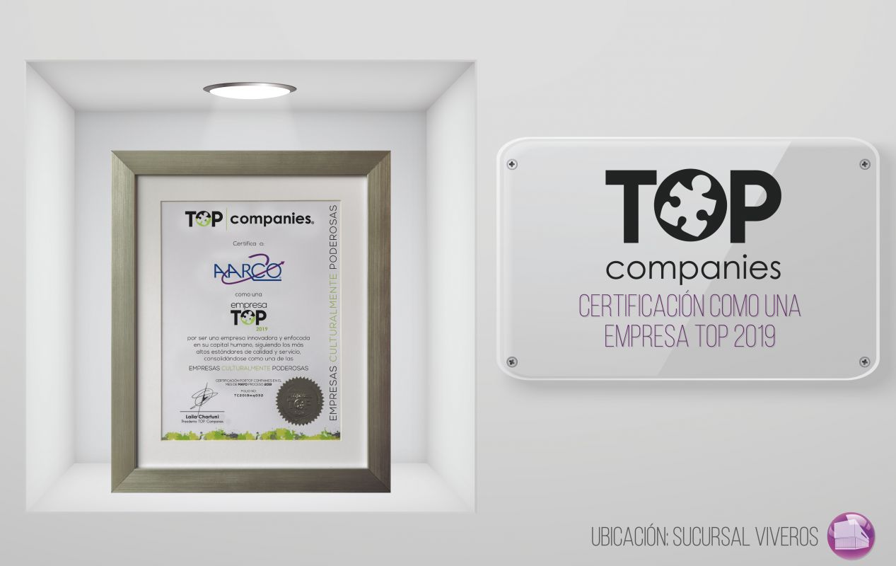 Marco-Top-Companies-2019-01-1267x800-compressed