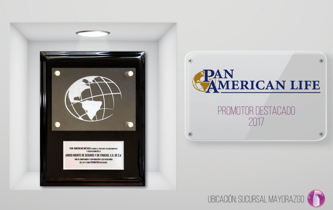 cuadro-PAN-AMERICAN-01-1267x800-compressed