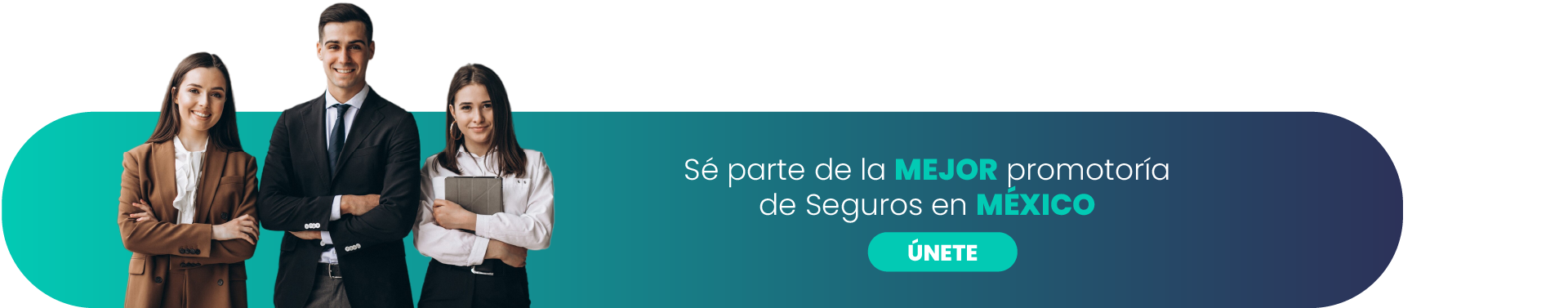 web__Mesa de trabajo 1