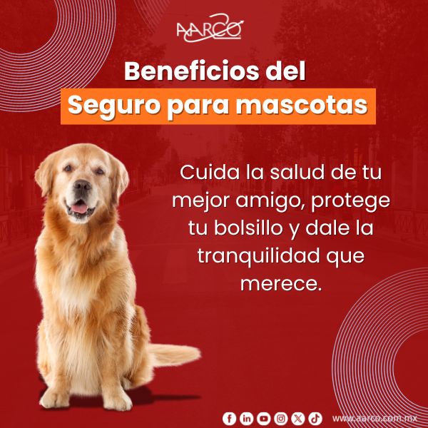 Beneficios del Seguro para mascotas