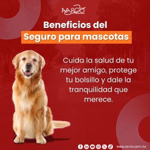 Beneficios del Seguro para mascotas en México