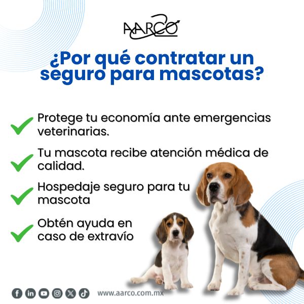 Seguros para mascotas en México