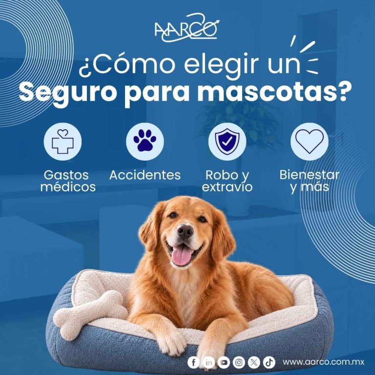 elegir el mejor seguro para mascotas (1)