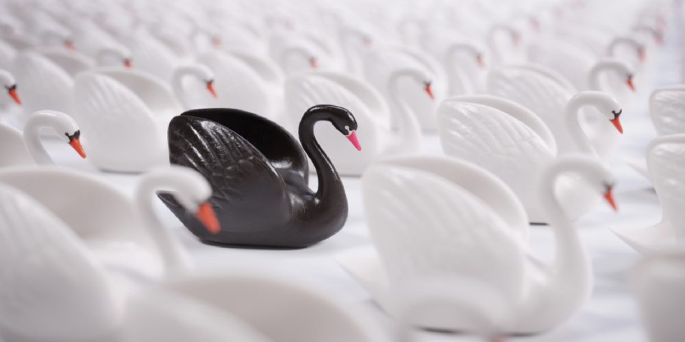 19S y el fenomeno del Cisne Negro