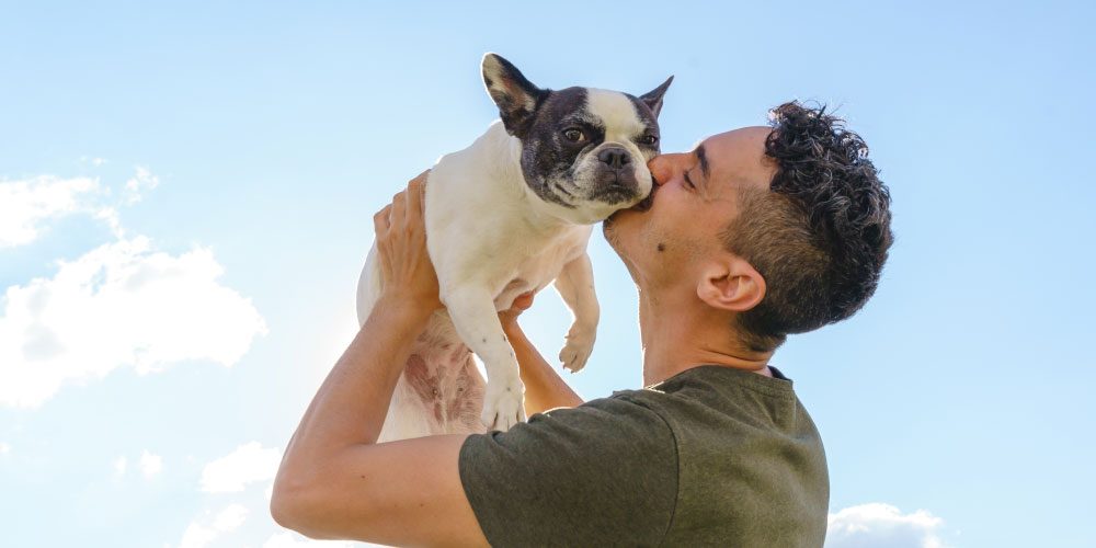 Beneficios de tener una mascota