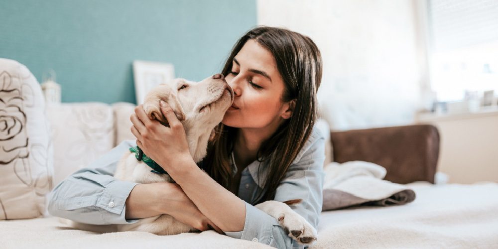 Seguro para Mascotas su bienestar y como cuidarla mejor